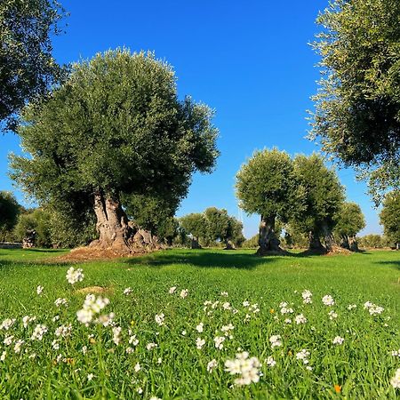 Minicasa Nella Natura, Con Piscina A Due Passi ออสตูนี ภายนอก รูปภาพ
